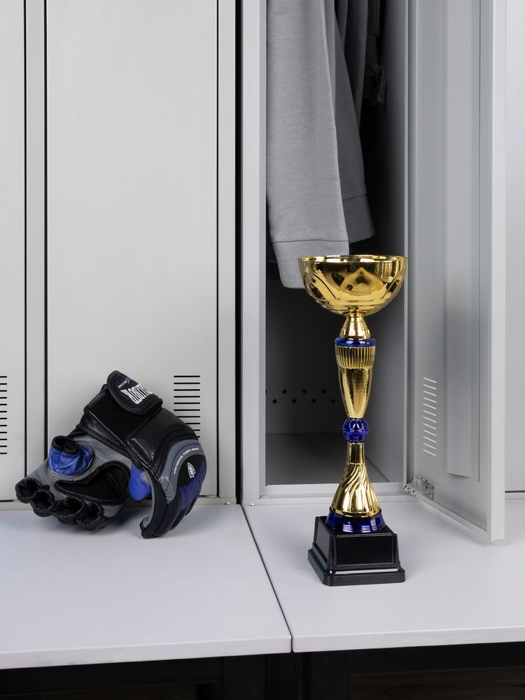 Кубок Awardee, средний, синий